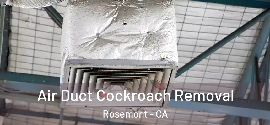  Air Duct Cockroach Removal Rosemont - CA