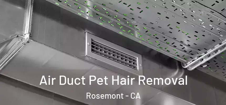  Air Duct Pet Hair Removal Rosemont - CA
