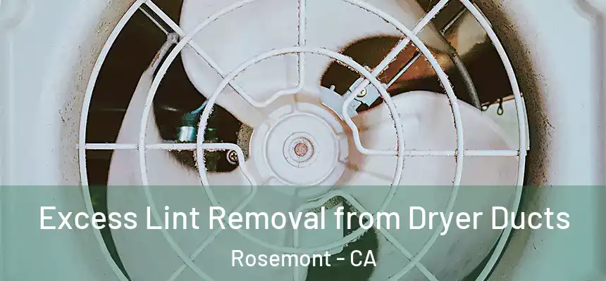 Excess Lint Removal from Dryer Ducts Rosemont - CA