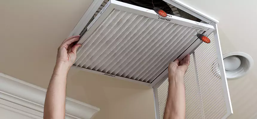 Preventive Cockroach-Proofing for Ducts in Rosemont