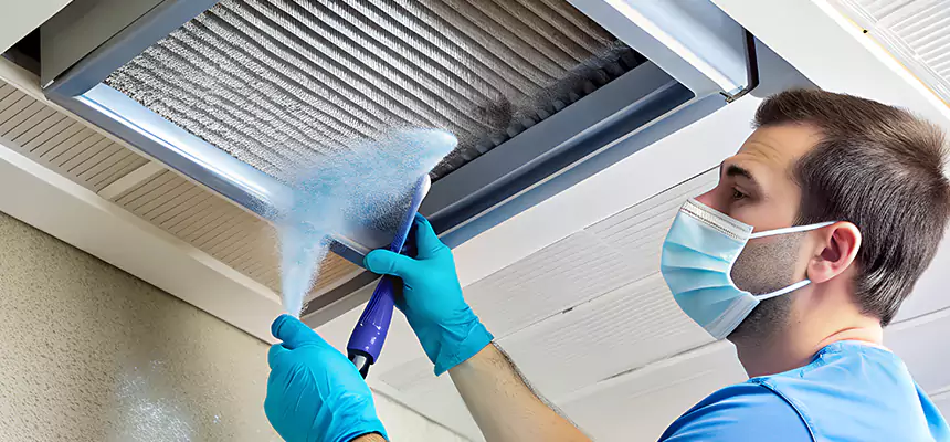 Proactive Dryer Vent & Auxiliary Duct Pollen Cleanup in Rosemont, CA