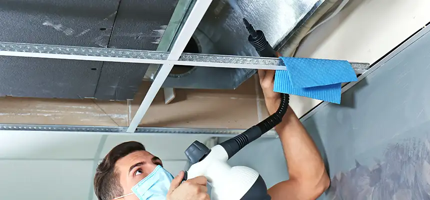 Our Air Duct Rodent Removal Services in Rosemont, CA