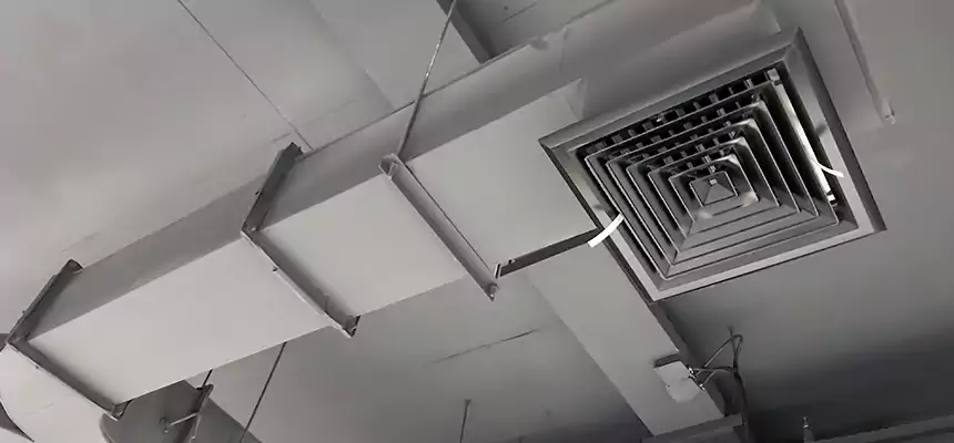 Restorative Allergy Relief Vent Cleaning – Coil, Blower & Housing Detail in Rosemont