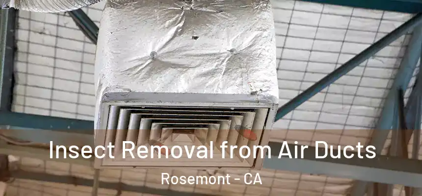  Insect Removal from Air Ducts Rosemont - CA