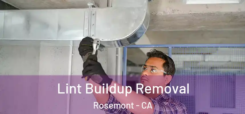 Lint Buildup Removal Rosemont - CA