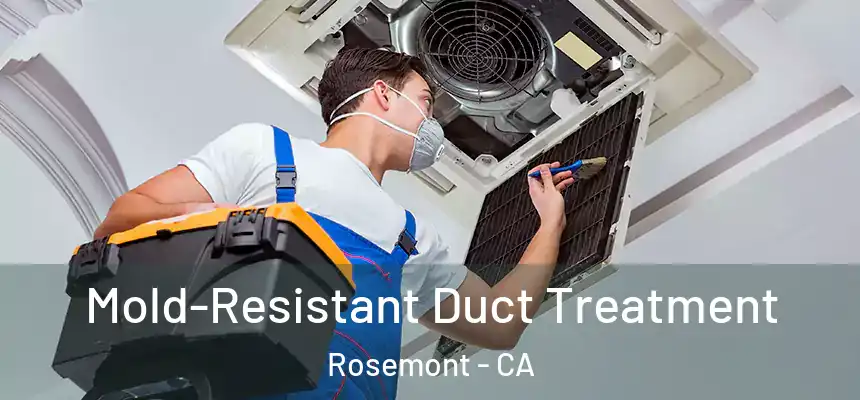  Mold-Resistant Duct Treatment Rosemont - CA