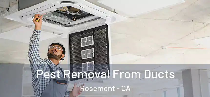 Pest Removal From Ducts Rosemont - CA
