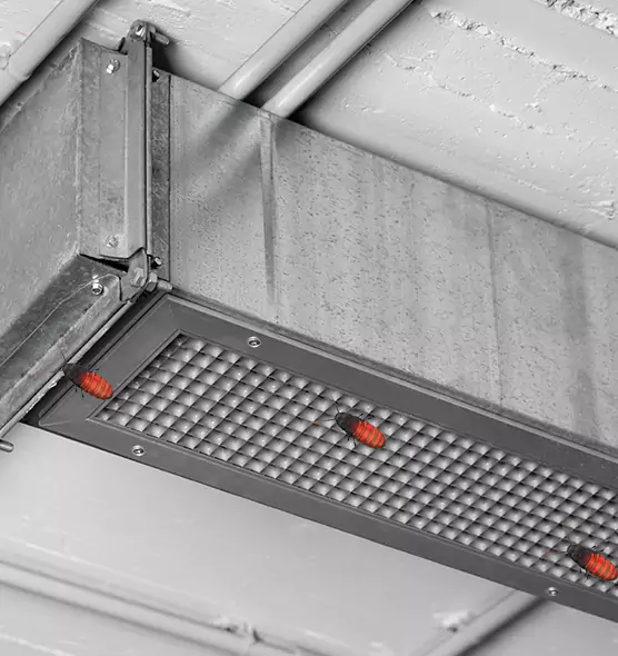 About Air Duct Cockroach Removal in Rosemont, CA