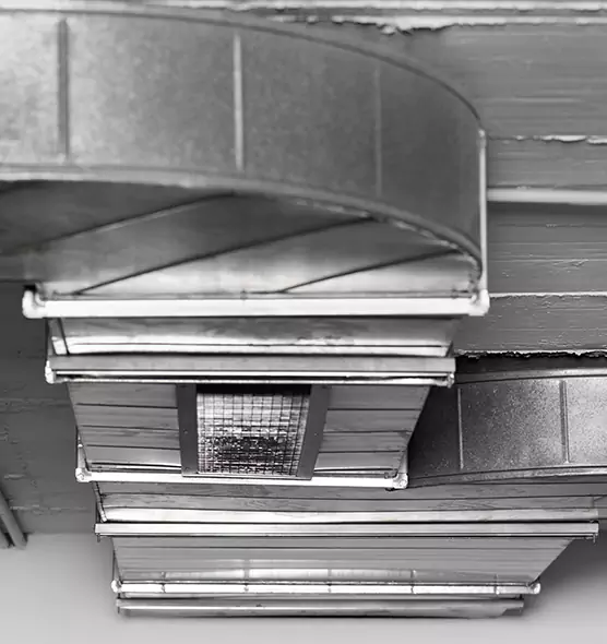 Professional Air Duct Pest Removal in Rosemont, CA