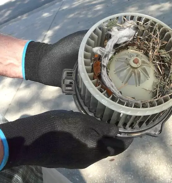 About Air Duct Rat Removal in Rosemont, CA