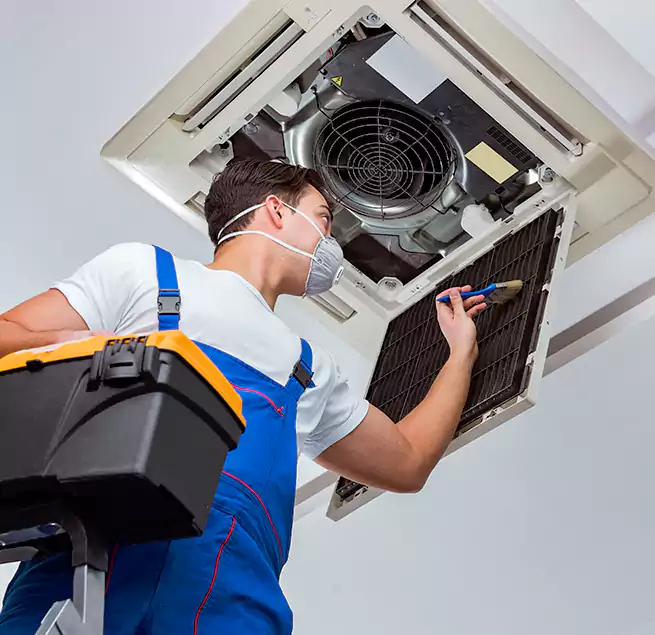 Why Homeowners & Businesses Trust Us in Rosemont, CA