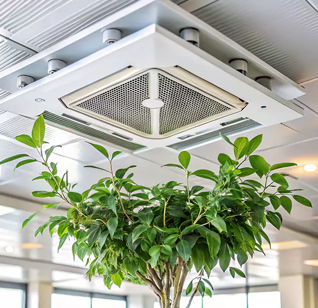 Why Homeowners & Businesses Trust Us in Rosemont, CA?