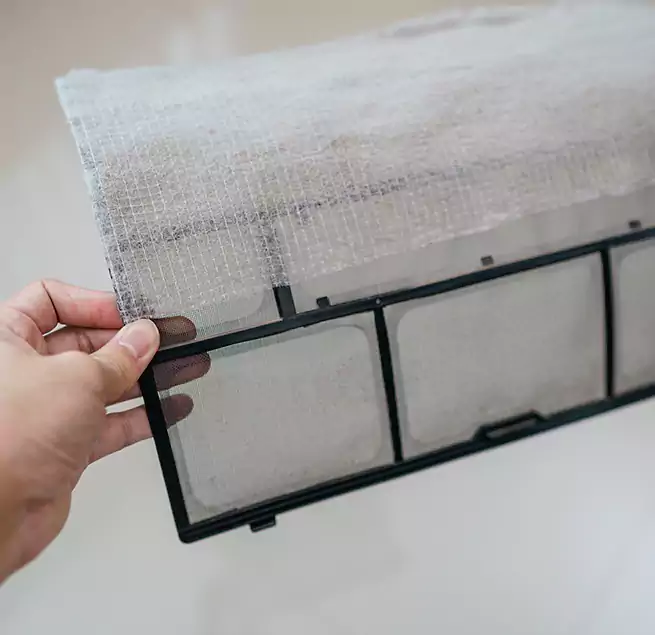 Why Homeowners & Businesses Trust Us in Rosemont, CA?