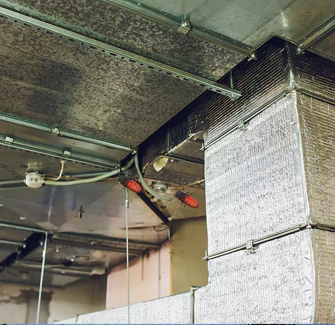 Why Homeowners & Businesses Trust Us Rosemont, CA?