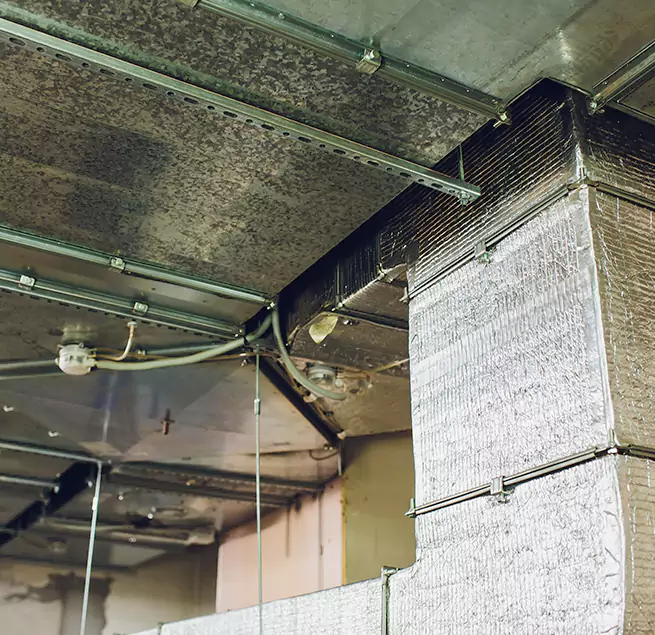 Why Homeowners & Businesses Trust Us in Rosemont, CA?