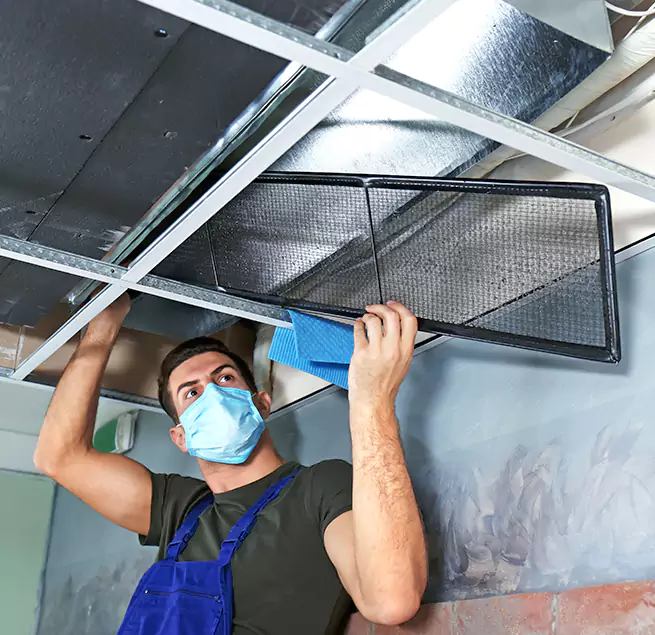  Why Homeowners Businesses Trust Us  in Rosemont, CA?